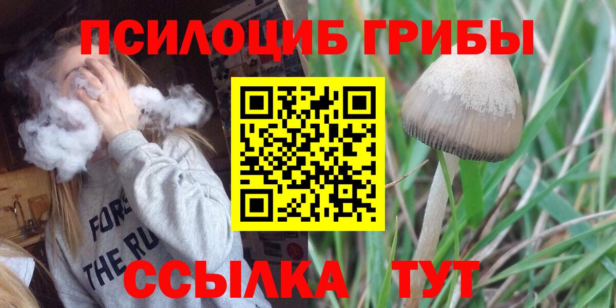 даркнет сайт  Псилоцибиновые грибы Psilocybe  Вход с VPN  Карпинск 